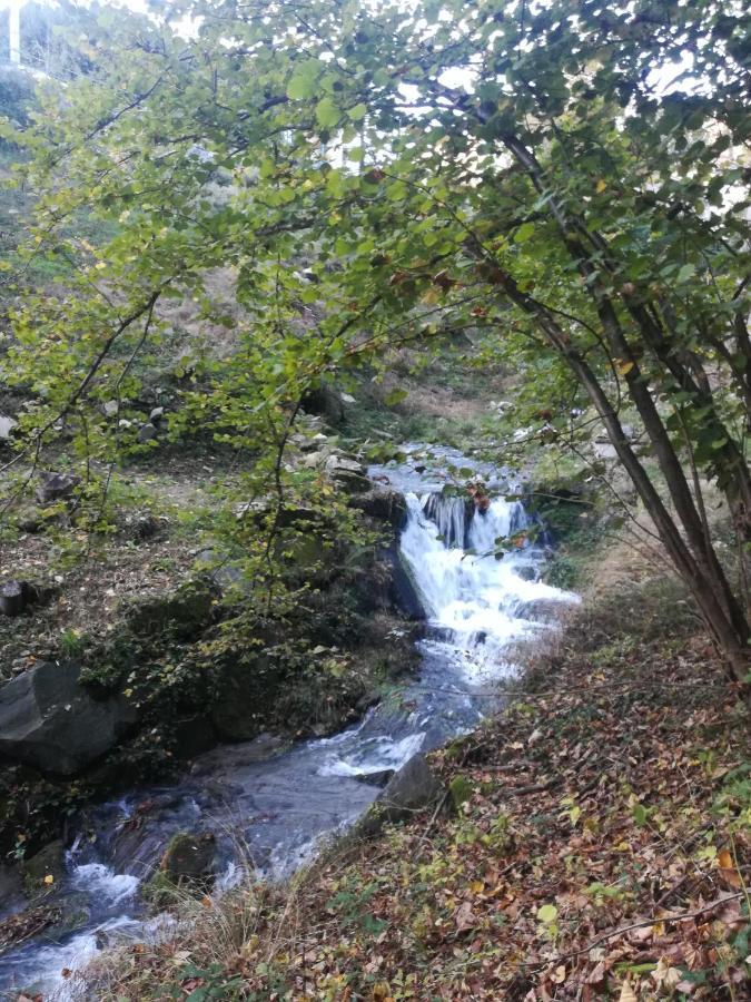 La Stella Delle Alpi Hotel Vico Canavese ภายนอก รูปภาพ